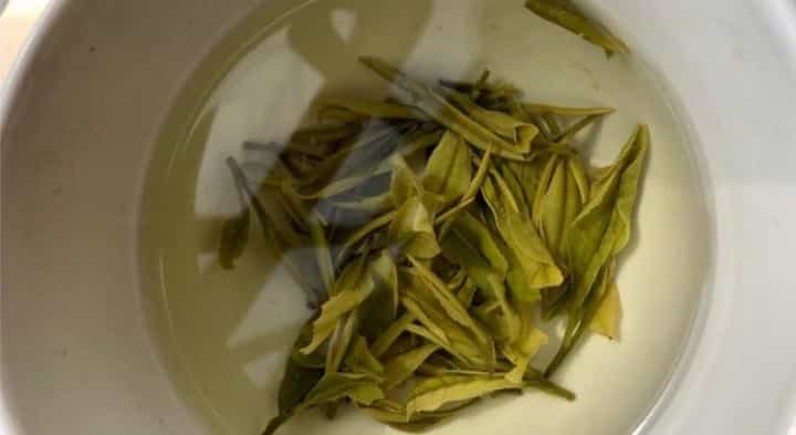 怎么看茶叶是不是新茶？陈茶与新茶的区别！