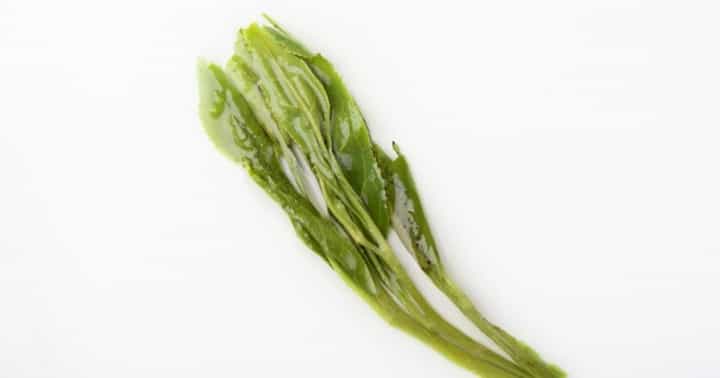 怎样辨别买到的绿茶好坏?绿茶好坏之鉴别！
