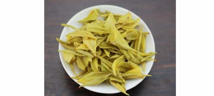 广东大叶青属于什么茶？产地在哪儿？