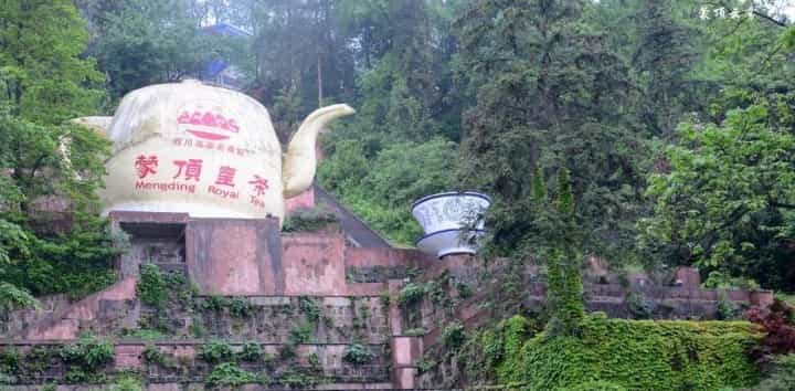 蒙顶甘露茶叶的品质特点，以及外形特征是什么？