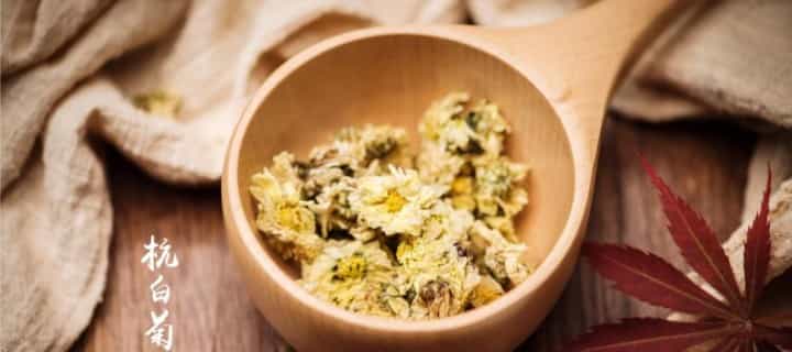 中国四大菊花茶是哪些?都有什么功效？