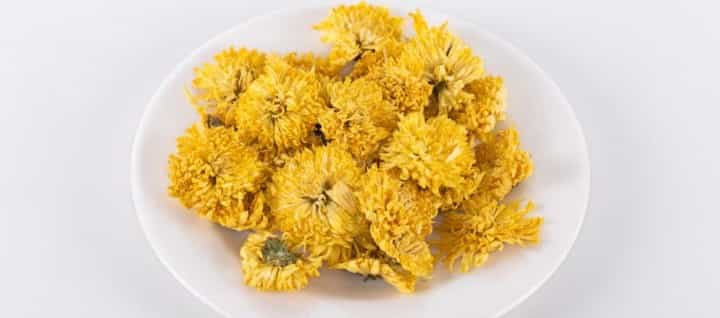 如何辨别菊花茶的优质特点？好的菊花茶有哪些特征？