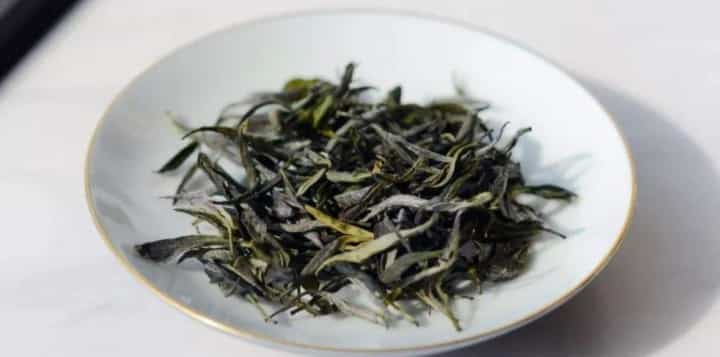顾渚紫笋怎么念？顾渚紫笋的读法