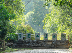 2023年9月茶行业资讯回顾汇总 2023年9月茶行业资讯回顾汇总