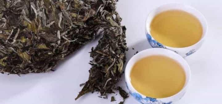 新工艺白茶和传统白茶有什么区别
