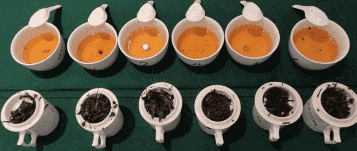 黑茶的特点是什么
