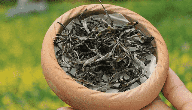 普洱生茶的特点是什么