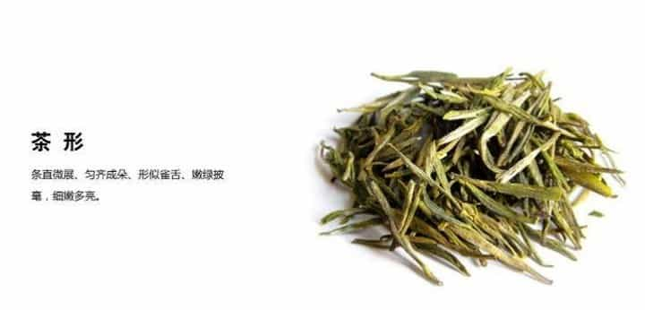 霍山黄芽属于什么茶