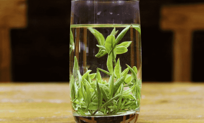 日照绿茶怎么样