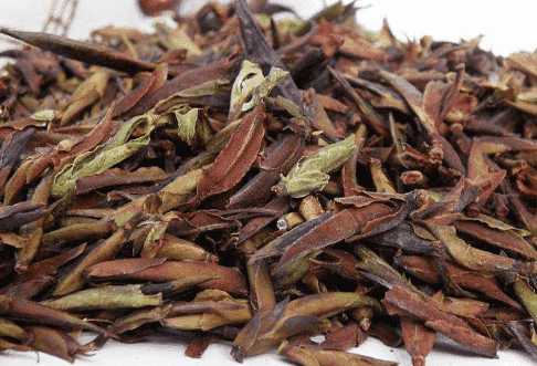 普洱茶品种大全
