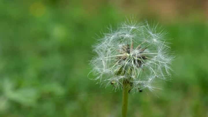 茶语：想太多，就是折磨自己！