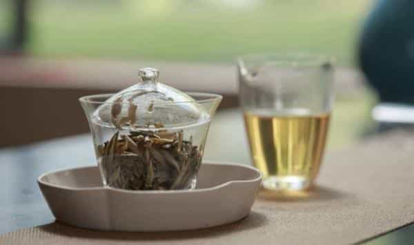 白茶什么季节的最好，白茶的季节特点