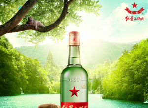 红星二锅头 绿瓶大二 56度清香型白酒 750ml*6瓶整箱 红星二锅头 绿瓶大二 56度清香型白酒 750ml*6瓶整箱