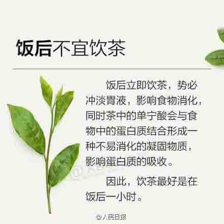 新手喝茶必备，茶知识大全