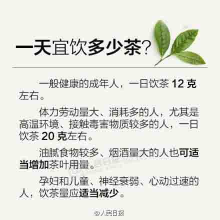 新手喝茶必备，茶知识大全