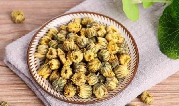 杭白菊和胎菊的区别