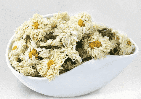 高血压喝杭白菊好吗