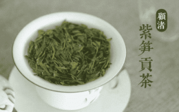 顾渚紫笋茶树品种