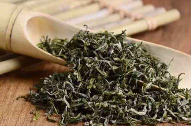 为什么好茶都喜欢生活在北纬30度