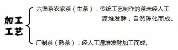 一文读懂六堡茶，六堡茶的价格及特点介绍