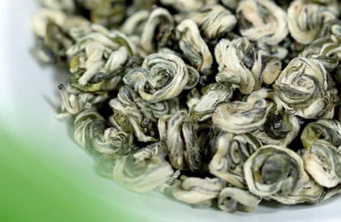 茶叶上的毛毛是什么？