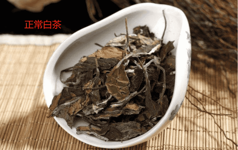 怎么判断做旧的老白茶