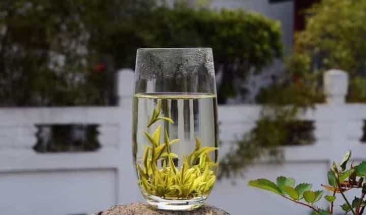 安吉白茶的特点