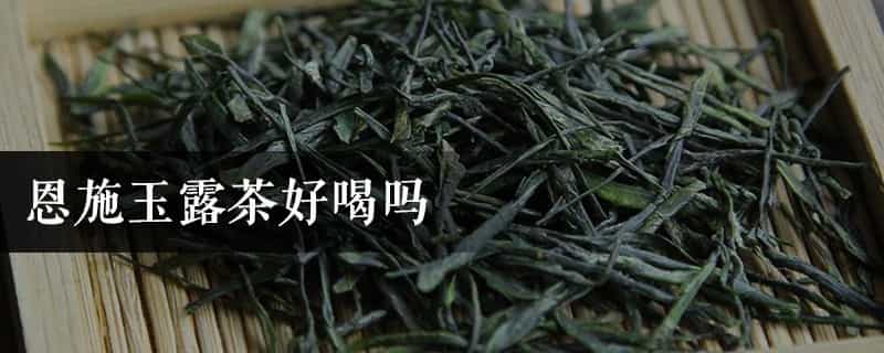 恩施玉露茶好喝吗