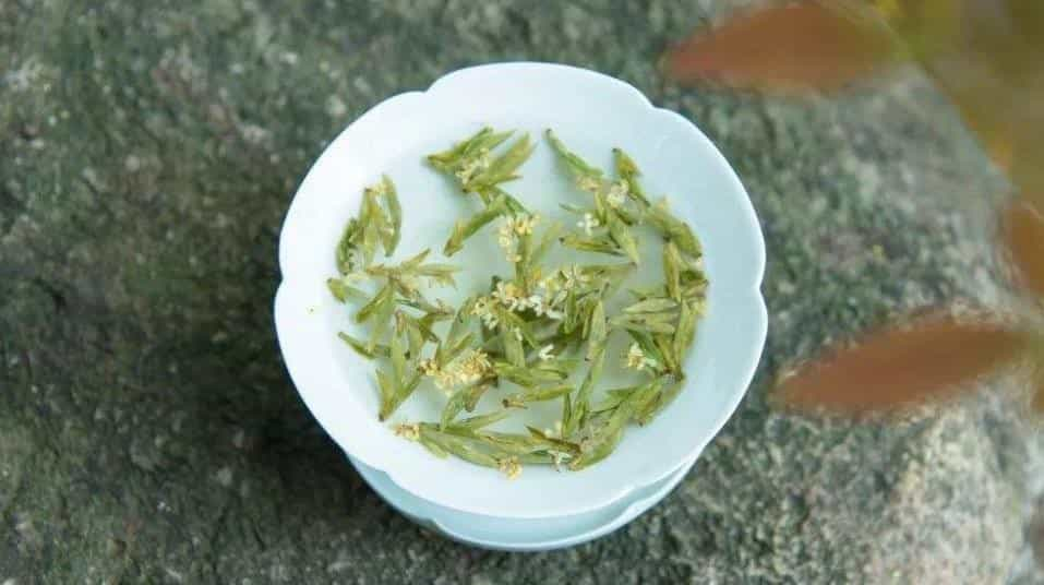 花茶和绿茶的区别