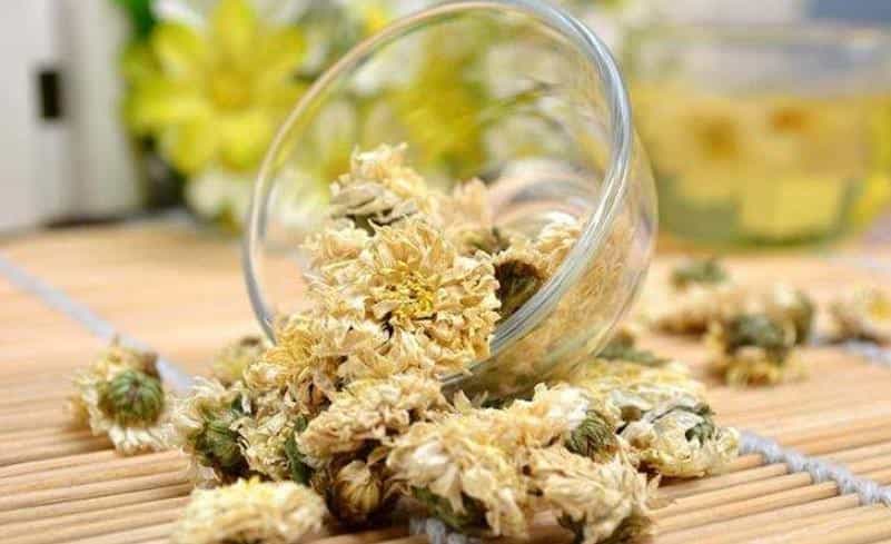 菊花有几种