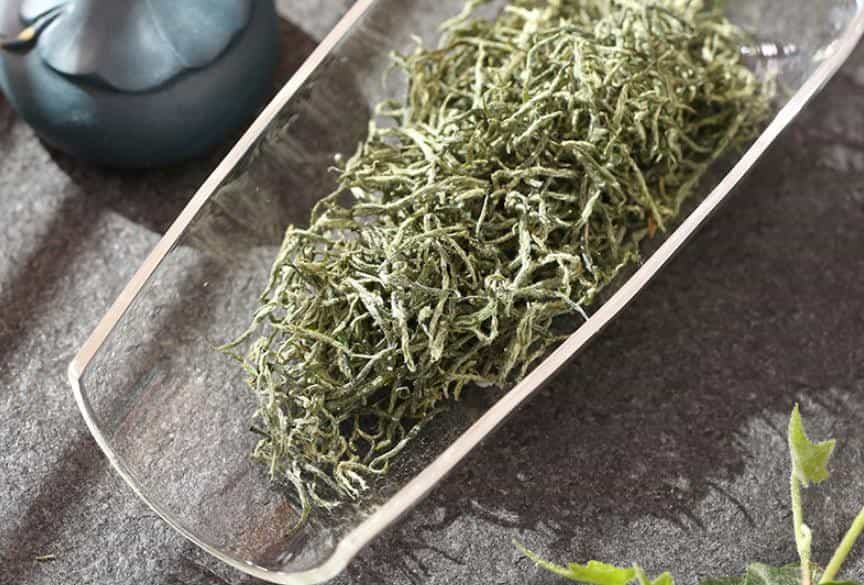 信阳毛尖是不是绿茶