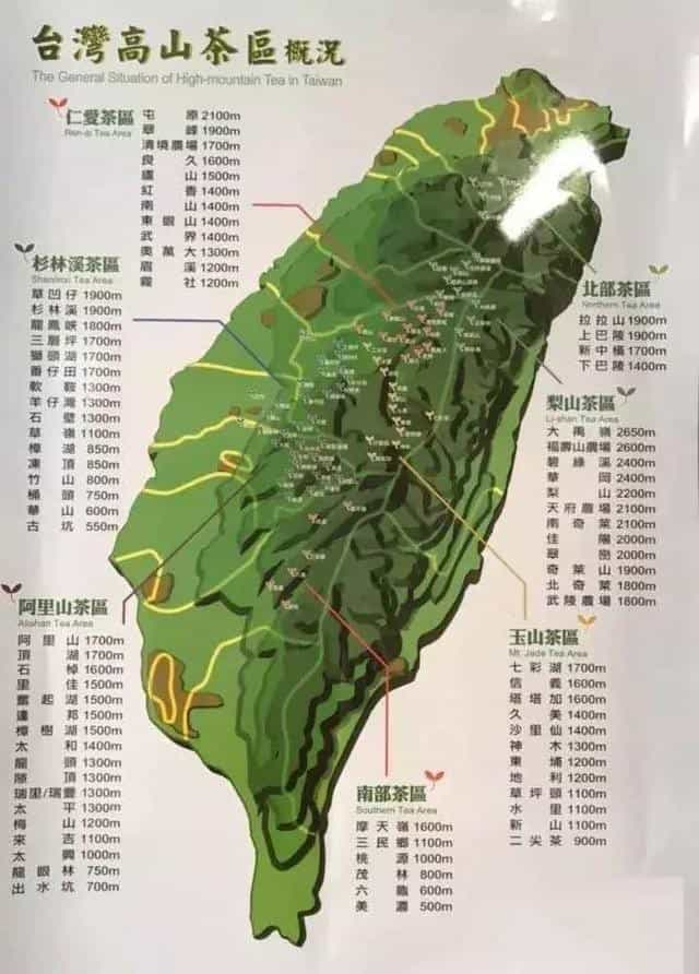 梨山茶属于什么茶