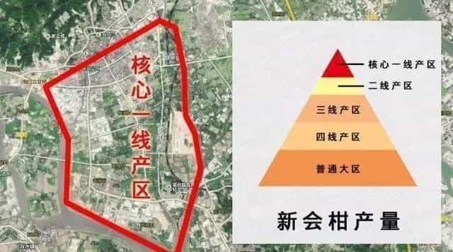 新会小青柑四个产区特点