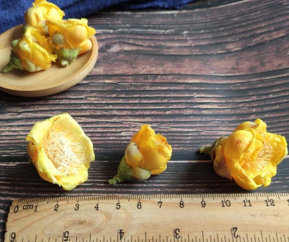 新鲜的金花茶如何处理