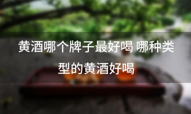 黄酒哪个牌子最好喝 哪种类型的黄酒好喝