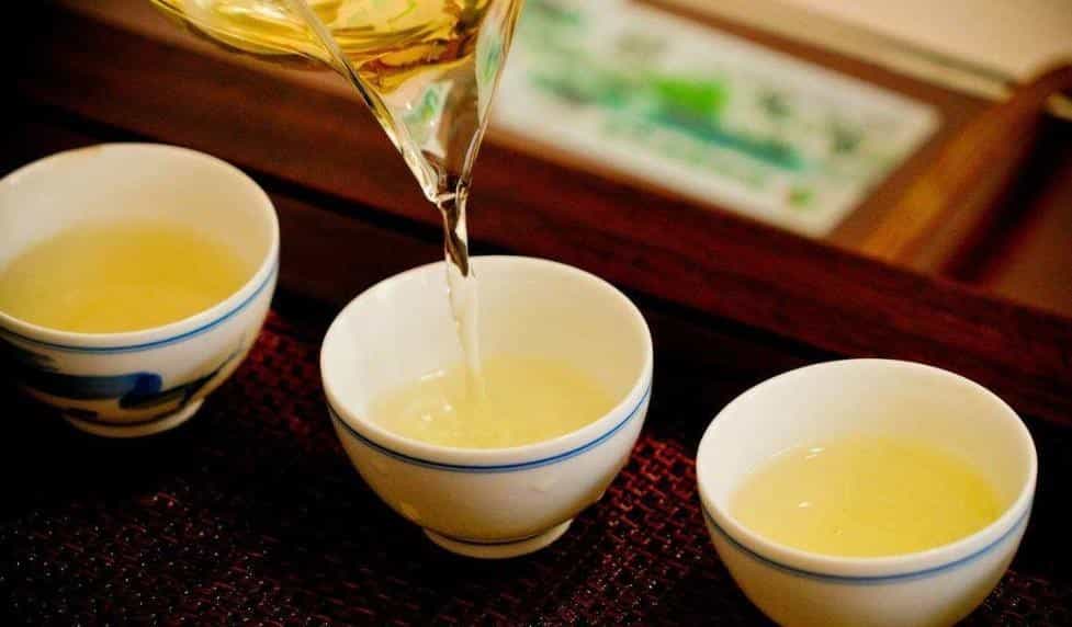 蒲公英决明子茶的禁忌