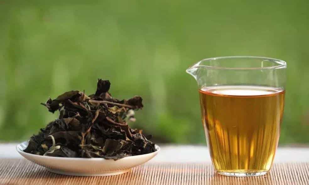 老树白茶的功效与禁忌