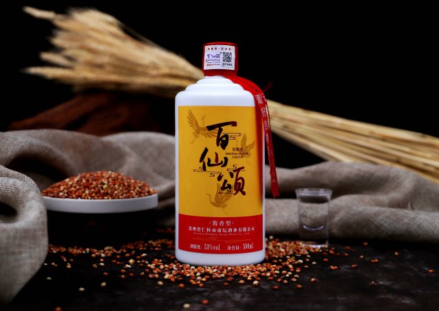 喝什么酒可以养生（喝什么酒养生对身体好）