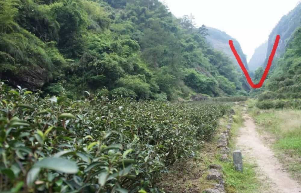 马岩牛岩的口感特点