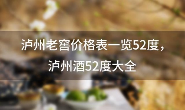 泸州老窖价格表一览52度 泸州酒52度大全