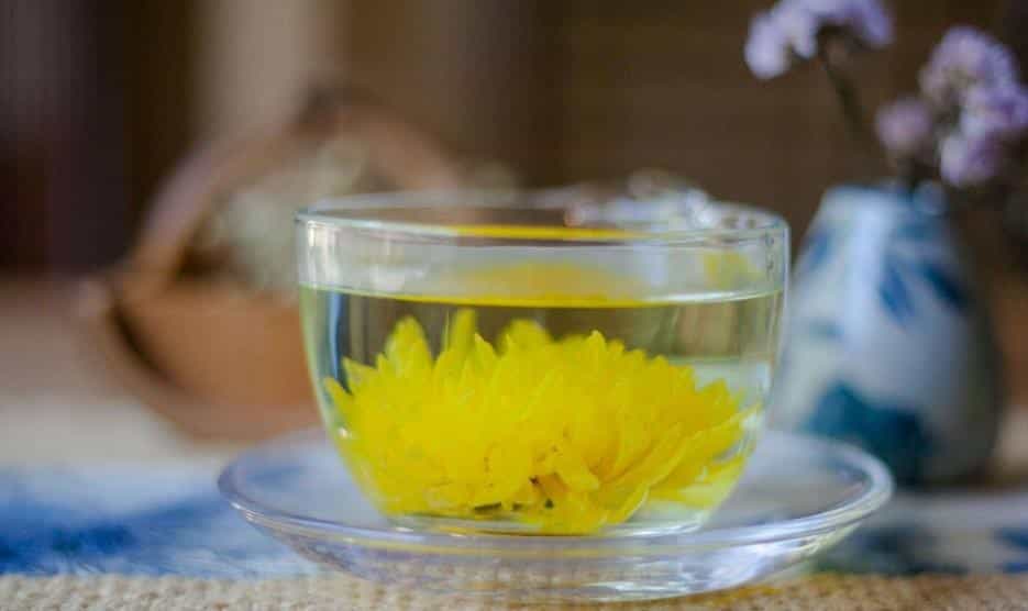 菊花茶的副作用与禁忌