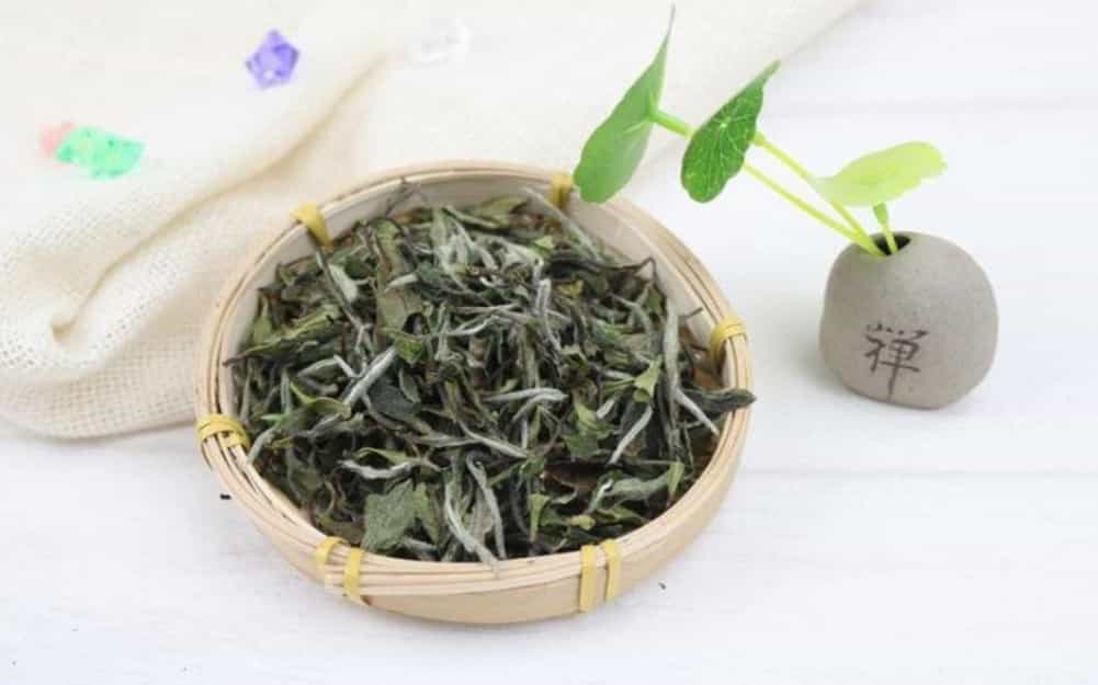 白牡丹新茶叶子是什么颜色