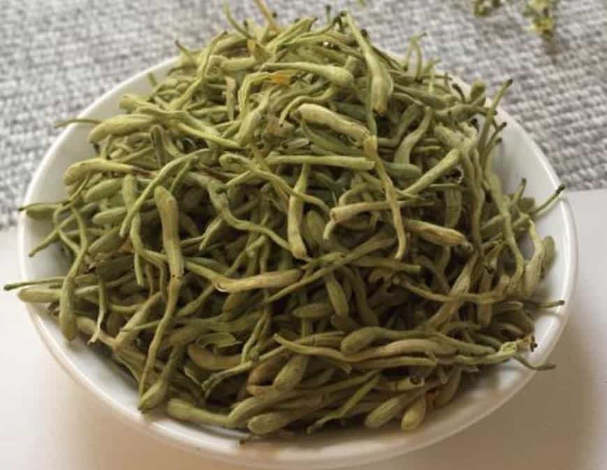 金银花的副作用与禁忌