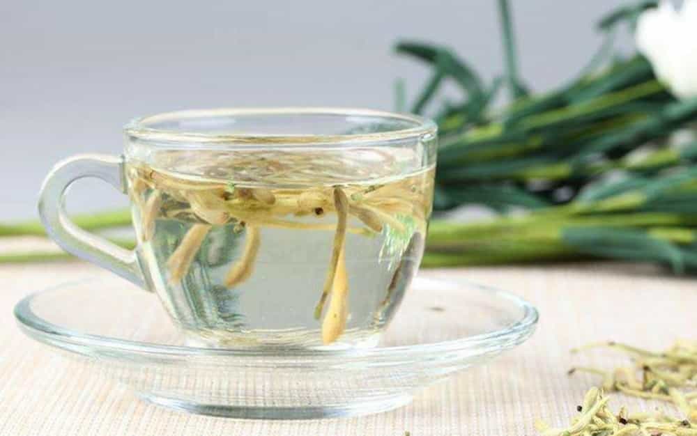 金银花的副作用与禁忌