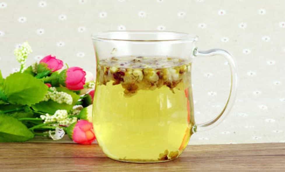 白梅花茶的功效与作用