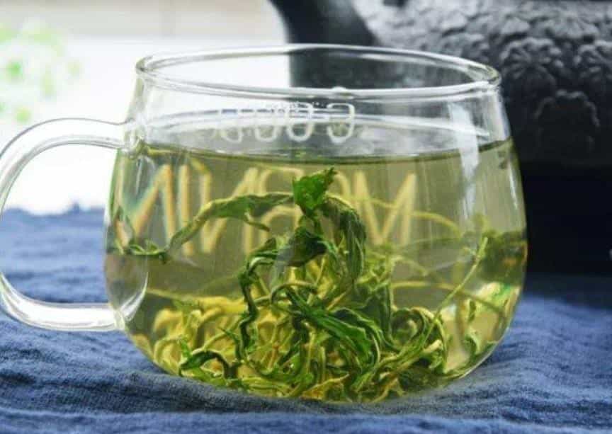 蒲公英茶哪些人不宜喝