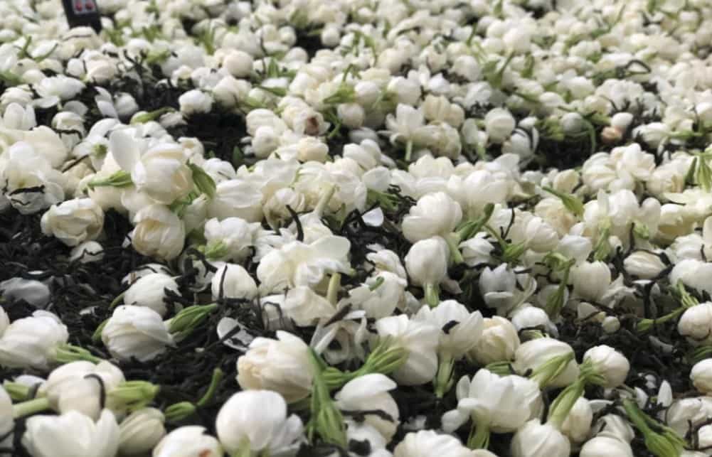窨制茶叶是什么意思