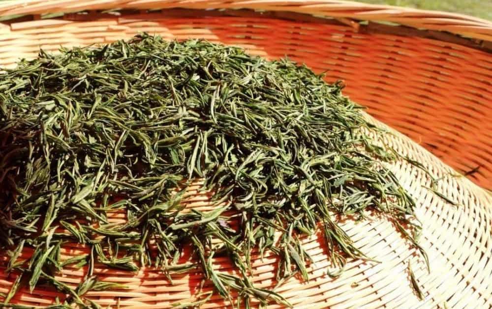 刚炒好的茶叶怎么保存