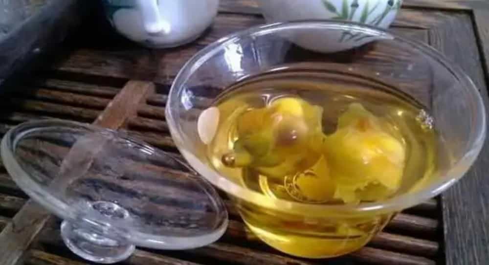 古树茶花是什么