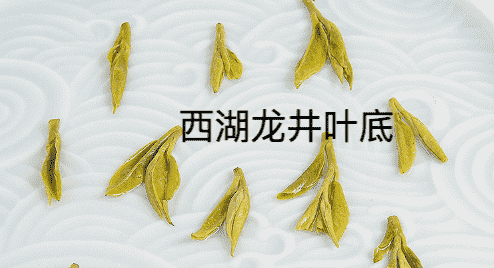 碧螺春和龙井的区别是什么
